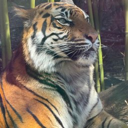 Denysov - Firma Brukarska Wrocław