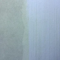 Fragment elewacji budynku z widocznym efektem czyszczenia: lewa strona brudna, prawa czysta z delikatnymi zaciekami.