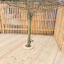 Nowoczesny taras z jasnego drewna otoczony płotem z pionowych desek, z drzewem rosnącym pośrodku i osłoniętym drewnianą obudową u podstawy.