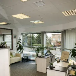 Jasne biuro agencji nieruchomości z dużymi oknami, roślinami doniczkowymi i widokiem na ulicę z budynkami.