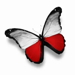 Motyl z górną częścią skrzydeł w odcieniach szarości i czerni, a dolną w kolorze czerwonym, na białym tle.