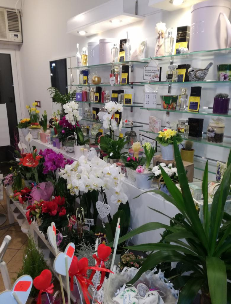 Wystawa kwiatów i dekoracji w kwiaciarni: białe orchidee, czerwone begonie, żółte narcyzy, ozdobne serca na patykach, kompozycje w koszykach, półki z perfumami i ceramicznymi pojemnikami.