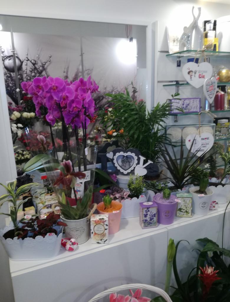 Aranżacja florystyczna z fioletowymi storczykami i innymi roślinami doniczkowymi na białej półce w kwiaciarni, z dekoracyjnymi sercami w tle.