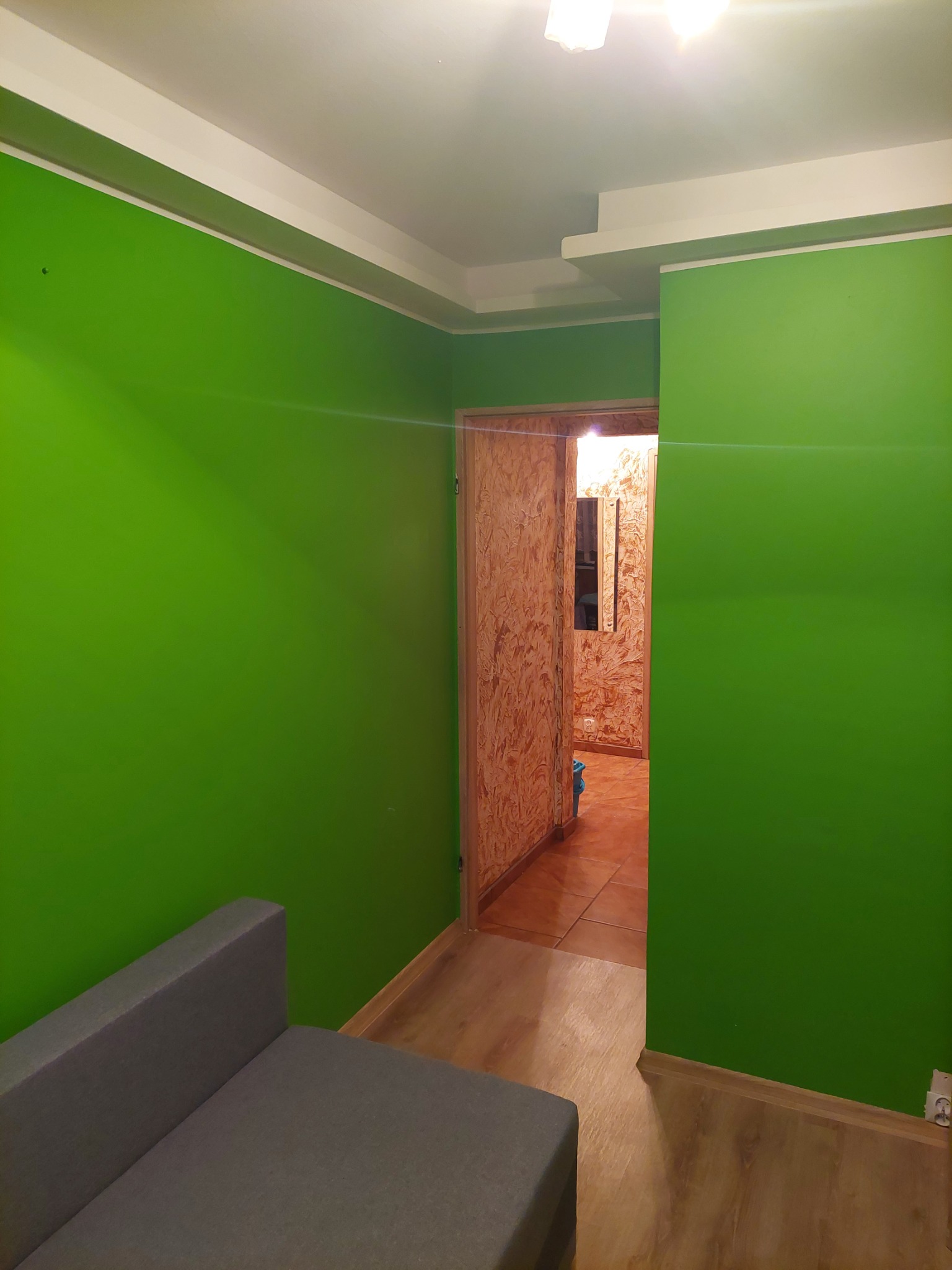 Świeżo pomalowane, jaskrawozielone ściany w pokoju z fragmentem szarej sofy w rogu i widokiem na korytarz z dekoracyjnymi ścianami i terakotową podłogą.