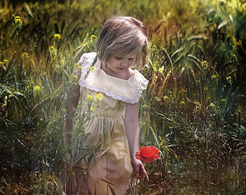 Dziewczynka w żółtej sukience stoi na polu pszenicy, trzymając czerwony mak.
