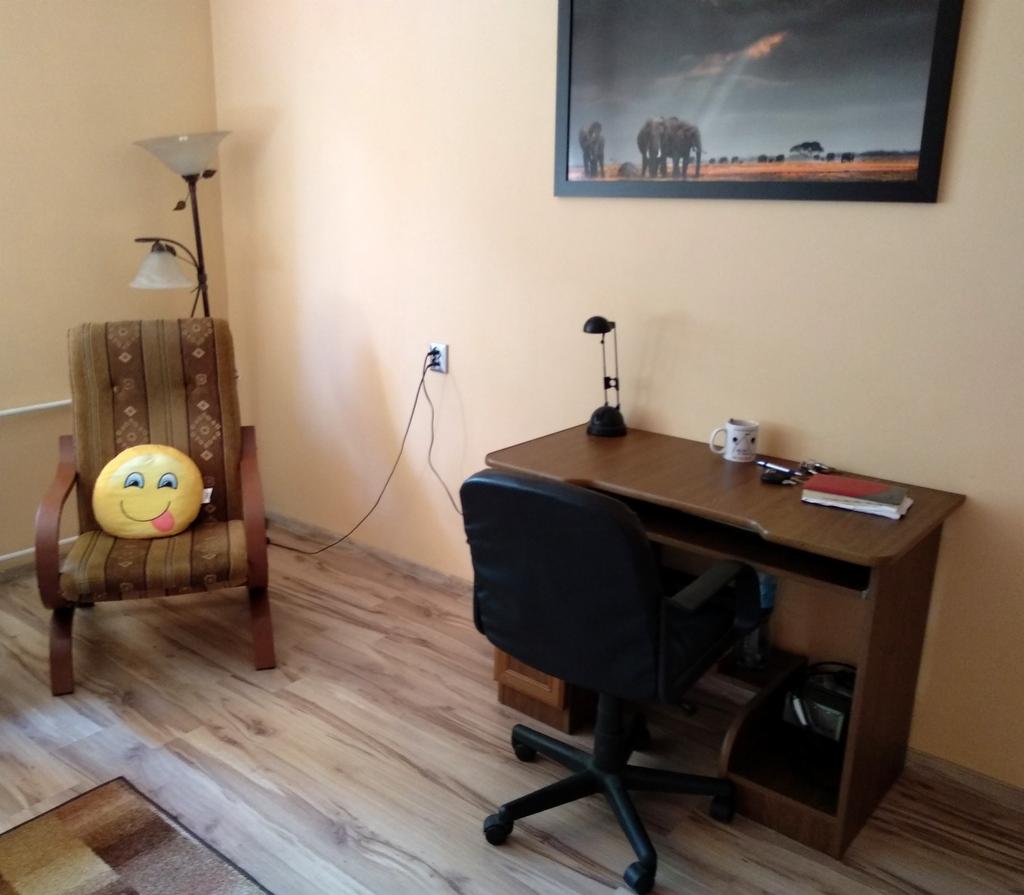 Pokój terapeutyczny: fotel z poduszką emoji, biurko z lampką i kubkiem, obraz słoni na ścianie, drewniana podłoga.