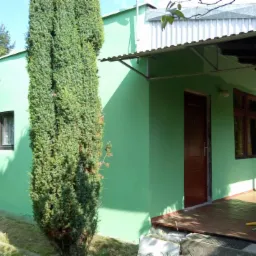 Świeżo pomalowany na zielono budynek z brązowymi drzwiami i oknami, widoczny z zewnątrz, z drewnianym tarasem i roślinnością w tle.