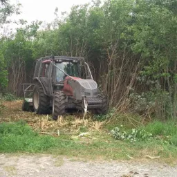 Czerwony ciągnik z frezem do pni w trakcie karczowania zarośli przy polnej drodze, widoczne świeżo ścięte gałęzie i samochód w oddali.