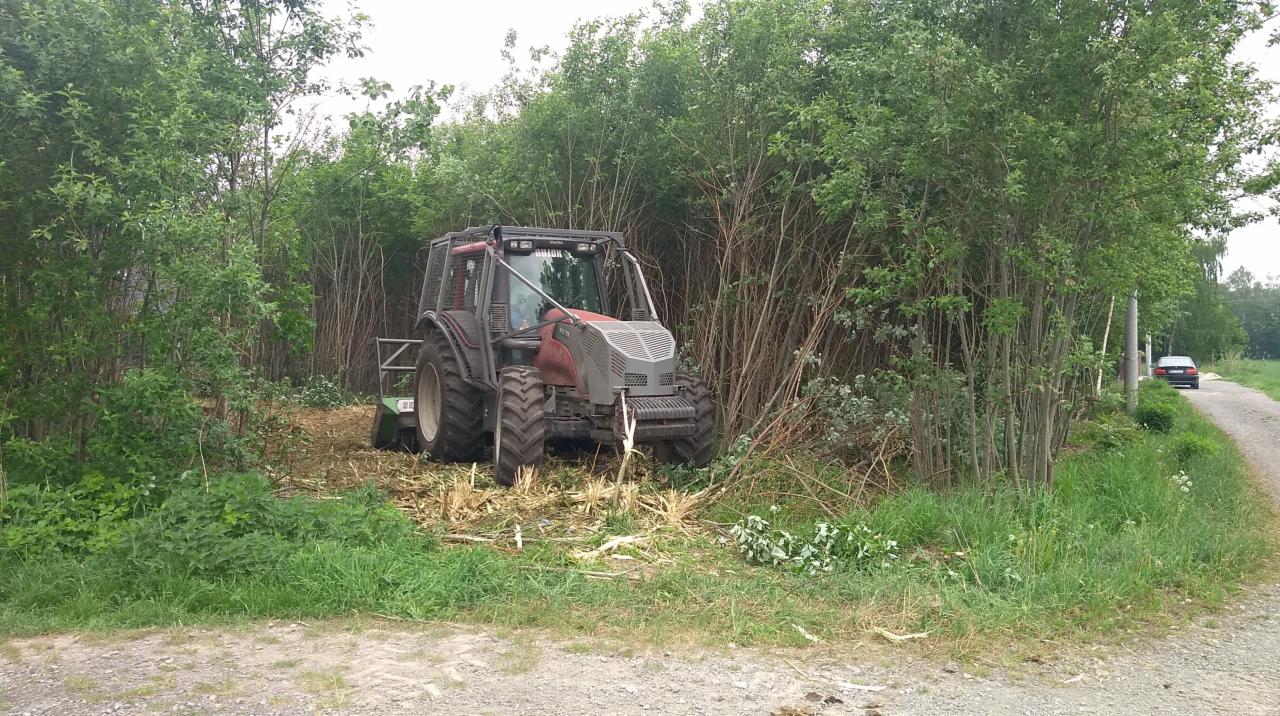 Czerwony ciągnik z frezem do pni w trakcie karczowania zarośli przy polnej drodze, widoczne świeżo ścięte gałęzie i samochód w oddali.