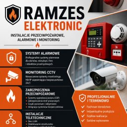 RAMZES Electronic - 