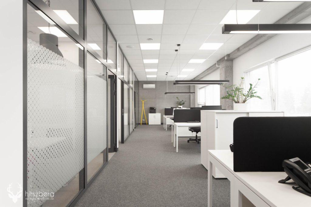 Nowoczesne biuro z przeszklonymi ścianami działowymi z dekoracyjną folią, szara wykładzina dywanowa, białe biurka z czarnymi przegrodami, minimalistyczne oświetlenie sufitowe i doniczkowa roślina...