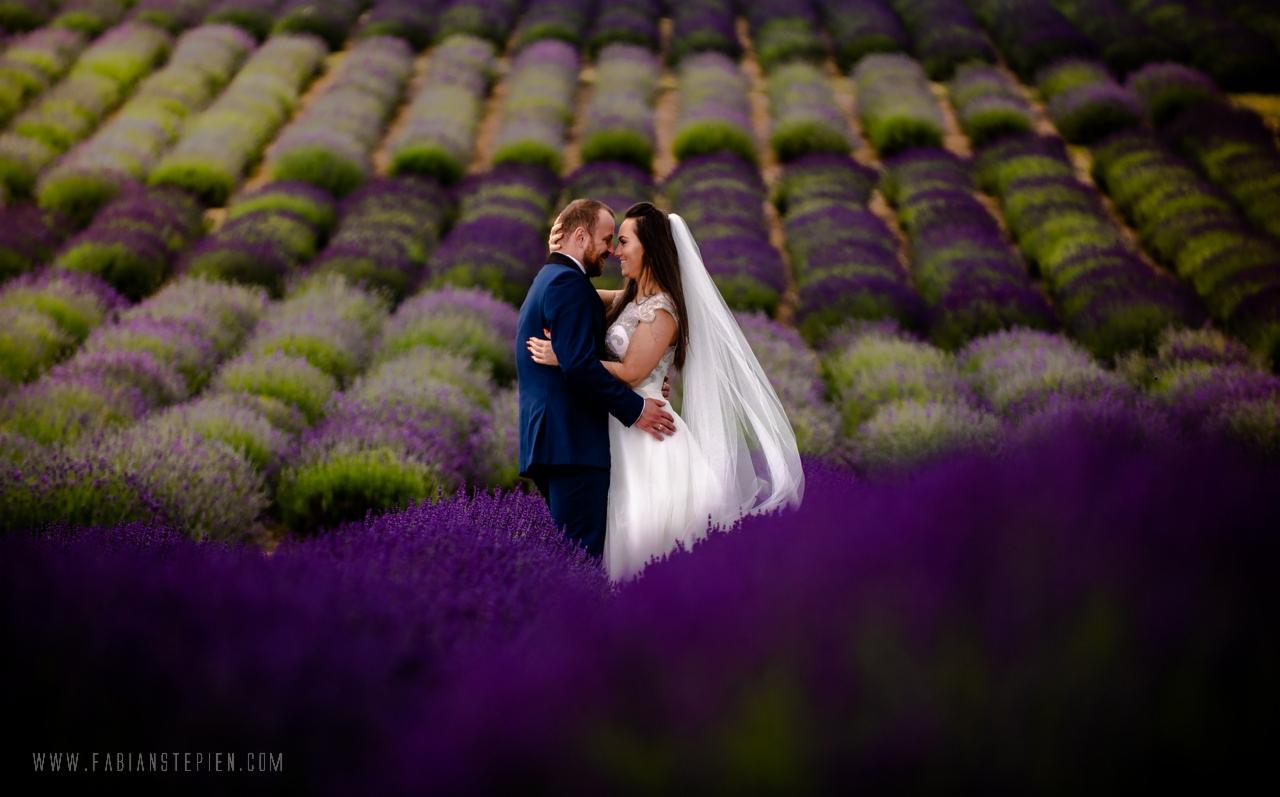 Para młoda obejmująca się na polu lawendy, on w granatowym garniturze, ona w białej sukni ślubnej z koronkowymi rękawami i długim welonem, w tle rzędy lawendy w różnych odcieniach fioletu i zieleni.