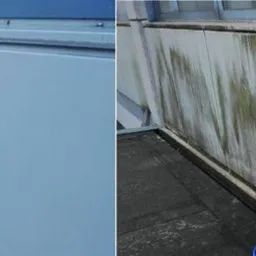 Porównanie stanu elewacji przed i po czyszczeniu: po lewej czysta, biała powierzchnia, po prawej zabrudzenia i zielony nalot.