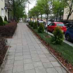 Pielęgnacja ogrodów Bydgoszcz 11