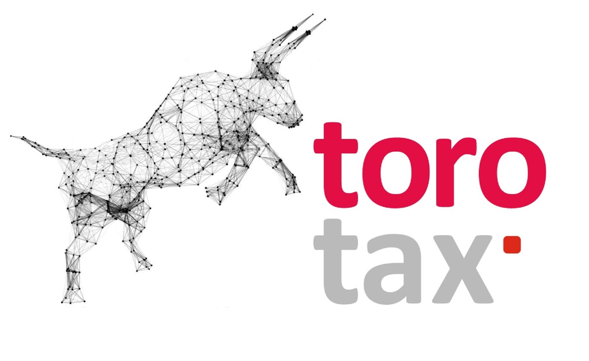Logo firmy 'toro tax' z graficznym przedstawieniem byka w formie siatki połączeń na białym tle.