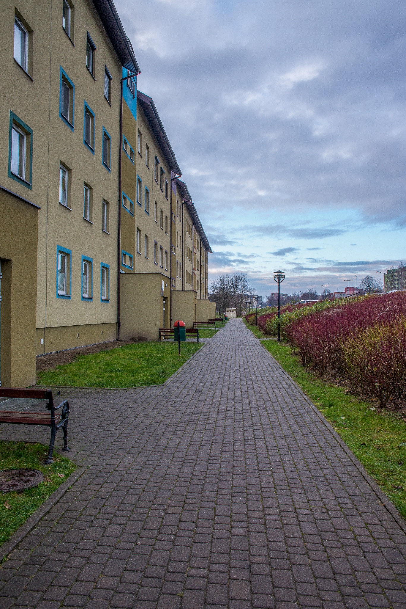 Długa, wybrukowana ścieżka prowadząca wzdłuż bloku mieszkalnego z rzędami okien obramowanych na niebiesko, z ławkami i krzewami po bokach, oświetlona latarniami, pod pochmurnym niebem.