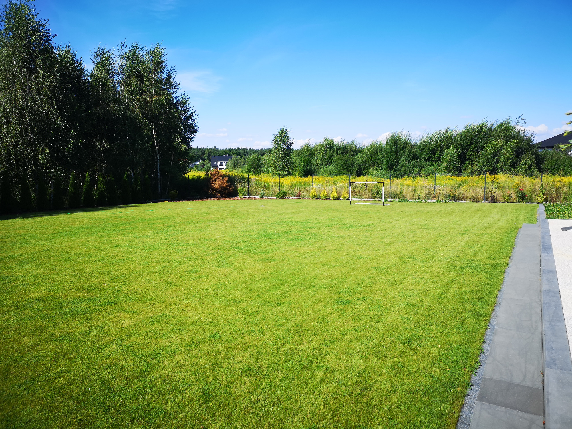 Perfekcyjnie skoszony trawnik z widocznymi pasami, na tle drzew i błękitnego nieba, z bramką do gry w piłkę nożną w oddali.