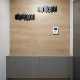 Wyposażenie meblowe przedpokoju - drewnopodobny panel ścienny i szafka z płyty laminowanej.