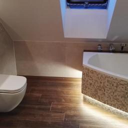 Glazurnik Czepielowice 2