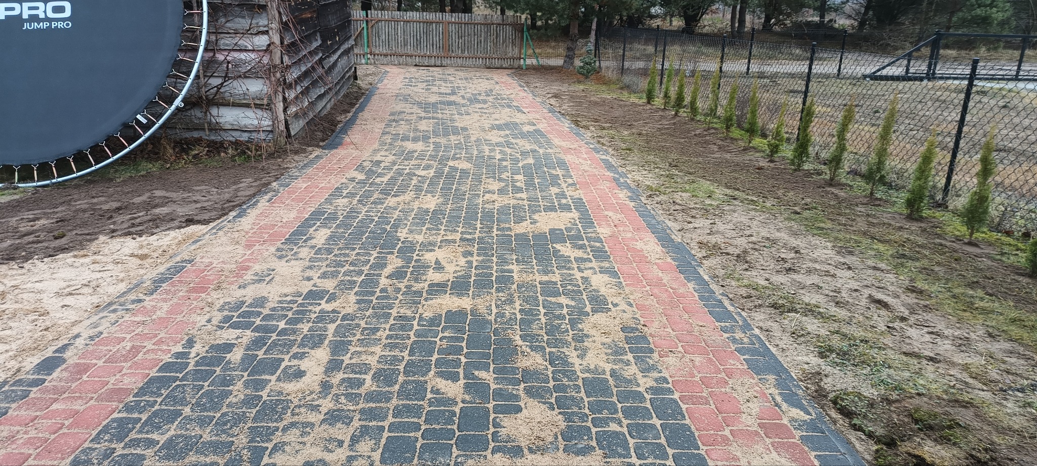 Świeżo ułożony chodnik z kostki brukowej w kolorach szaro-czerwonym, zasypany piaskiem kwarcowym, obok trampolina i młode tuje przy ogrodzeniu z siatki.
