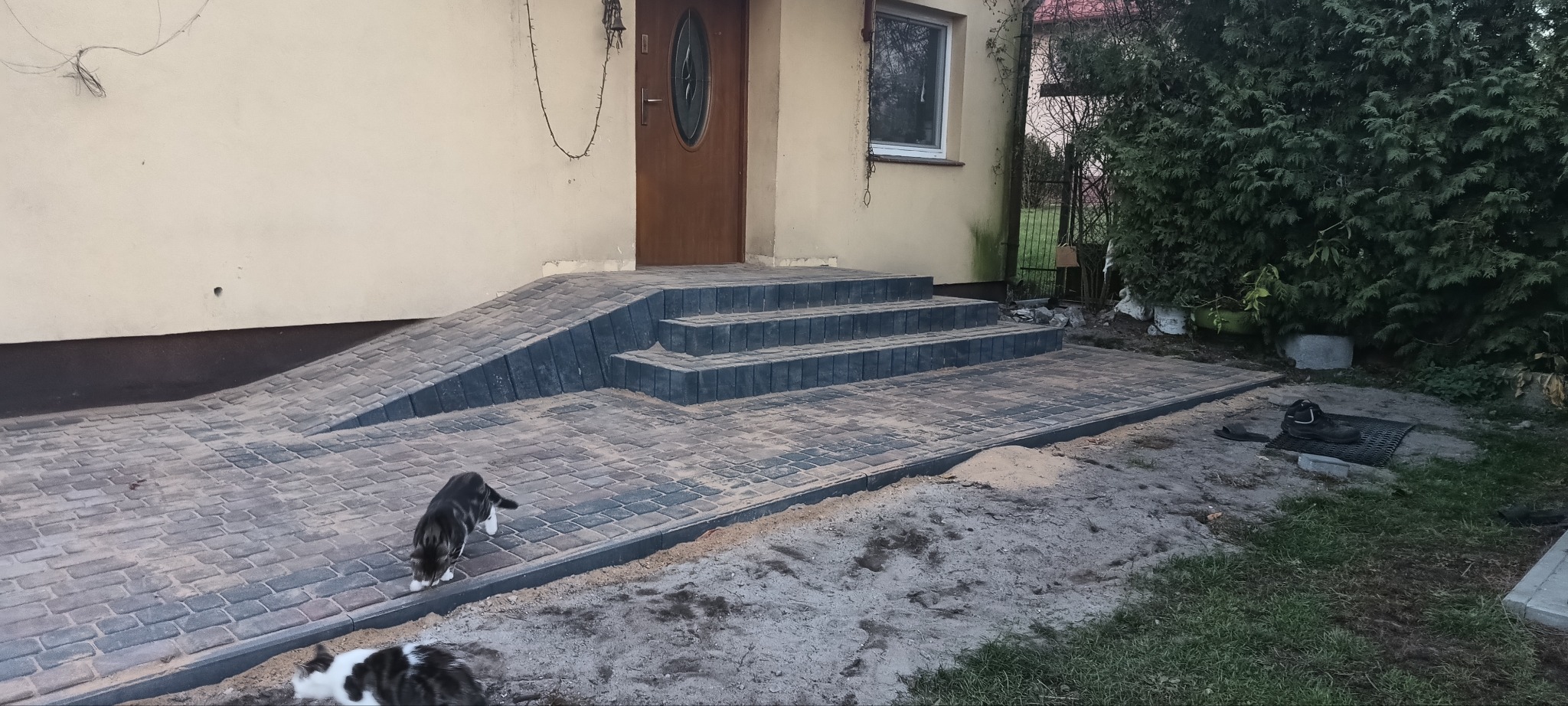 Nowo ułożona, dwukolorowa kostka brukowa prowadząca do drzwi wejściowych z trzema schodami i rampą; dwa koty w kadrze.