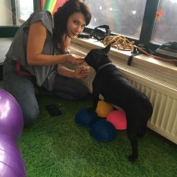 Cwiczenia na jeżykach