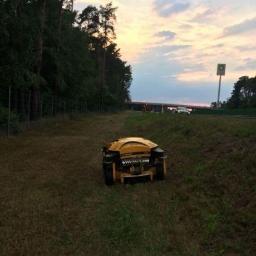 Wycinka drzew Bogatynia 2