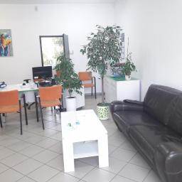 Speckredyt.pl - Wnętrze biura z biurkiem, krzesłami, sofą i roślinami doniczkowymi, na ścianie obraz z kolorowym słoniem.