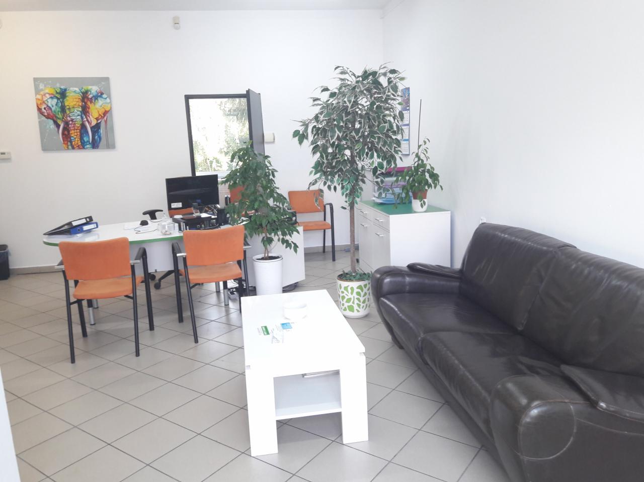 Wnętrze biura z biurkiem, krzesłami, sofą i roślinami doniczkowymi, na ścianie obraz z kolorowym słoniem.