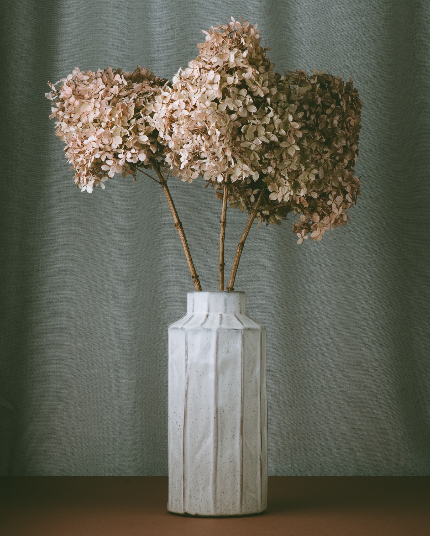 Martwa natura: suszone hortensje w białym, ceramicznym wazonie na tle szarej tkaniny. Stonowana kolorystyka, miękkie światło, minimalistyczny styl.