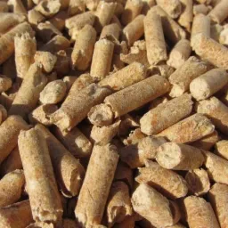 Jasne, cylindryczne brykiety z biomasy, prawdopodobnie pellet drzewny, sfotografowane w Wielbarku w naturalnym świetle, ukazujące teksturę i nieregularne kształty.