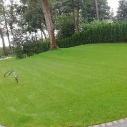 Równy, zielony trawnik z widocznymi śladami po koszeniu, otoczony drzewami i tujami, z elementami systemu nawadniania wystającymi z trawy.