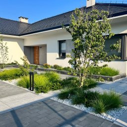 Bogusz Studio Architektura Krajobrazu - Nowoczesny ogród z geometrycznymi rabatami, ozdobnymi trawami i ścieżką z kostki brukowej prowadzącą do domu z ciemną dachówką w słoneczny dzień.