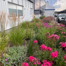 Zakładanie ogrodów Piaski wielkie 4