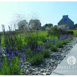 Ułożona rabata z kwitnącą szałwią i trawami ozdobnymi, oddzielona od trawnika kamiennym pasem, w tle dom z szarej cegły i logo Bogusz Studio architektura krajobrazu.