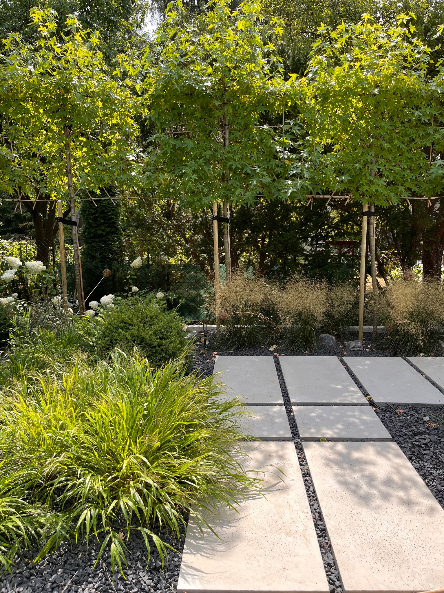 Nowoczesny ogród z kwadratowymi płytami chodnikowymi, czarnym żwirem i ozdobnymi trawami. W tle rząd drzew podpartych bambusowymi tyczkami.