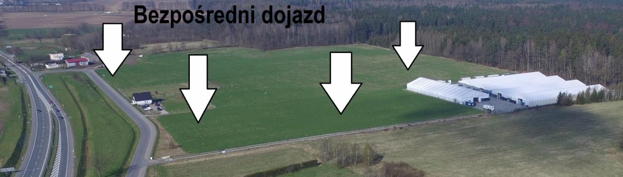 Panoramiczny widok z lotu ptaka na rozległe pole z bezpośrednim dojazdem, graniczące z autostradą i kompleksem hal namiotowych w tle lasu.