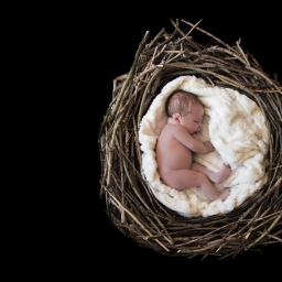 JMI Fotografia - Noworodek śpiący w gnieździe z gałązek na puszystym, białym kocyku, na czarnym tle.