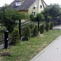 Czarny metalowy płot z ozdobnymi elementami i zaokrąglonymi górnymi przęsłami, oddzielający posesję od chodnika, z młodymi tujami posadzonymi wzdłuż ogrodzenia.