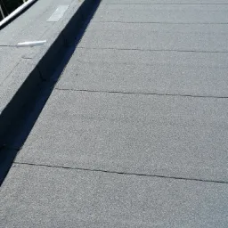 Płaski, pokryty papą dach z widocznymi łączeniami, elementami wentylacji i obróbką krawędziową.