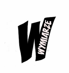 WWymiarze - Montaż drzwi Serokomla
