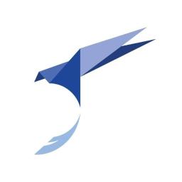 Falcontent - Linki Sponsorowane Google Opole