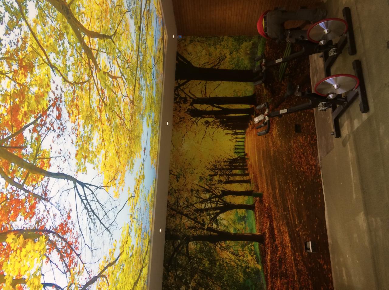 Fototapeta z motywem jesiennego lasu na ścianie i suficie w pomieszczeniu z rowerami stacjonarnymi, tworząca iluzję przestrzeni.