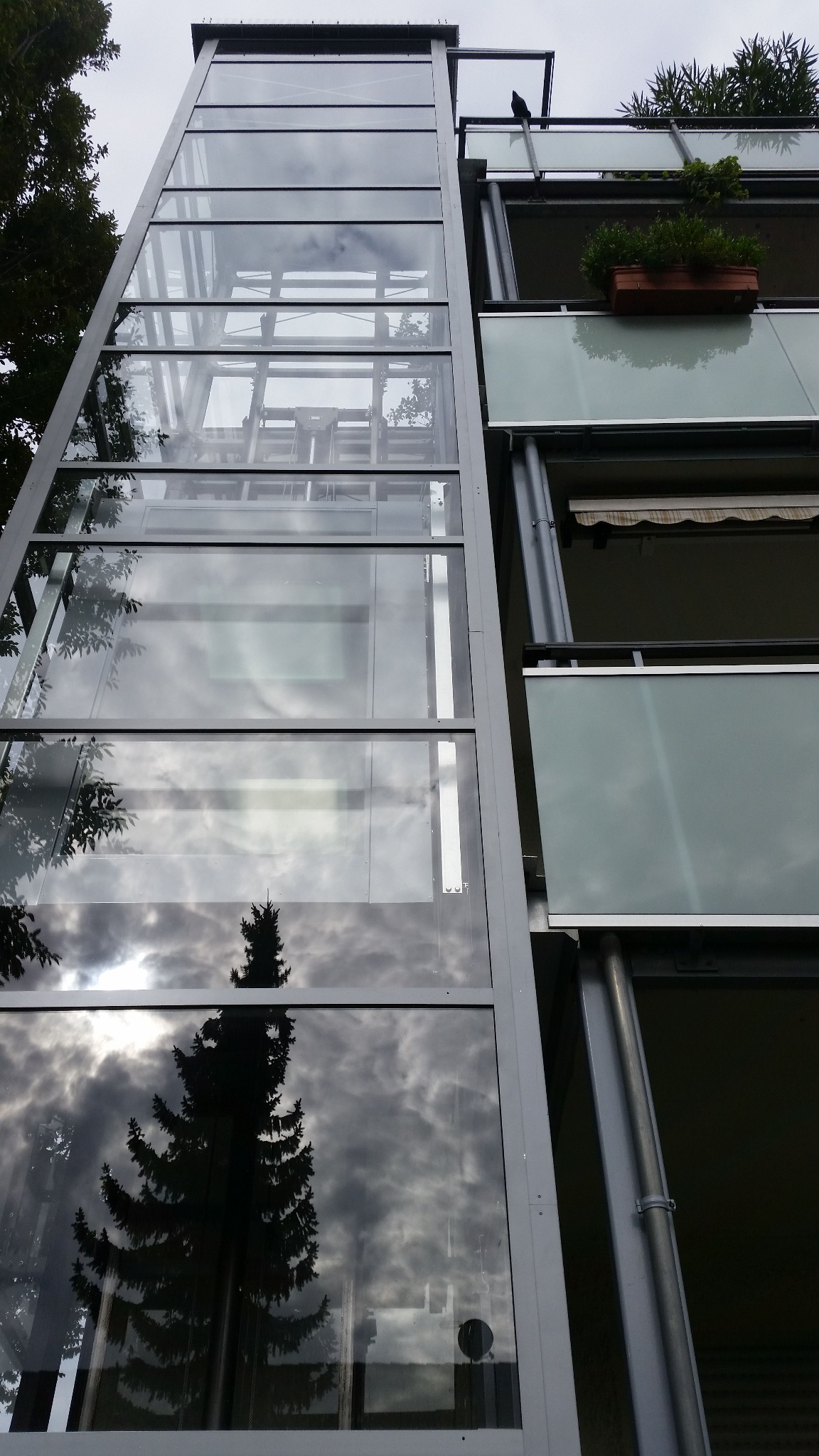 Zewnętrzna przeszklona konstrukcja szybu windowego przylegająca do budynku mieszkalnego z balkonami, widok z dołu, w szkle odbija się korona drzewa i pochmurne niebo.