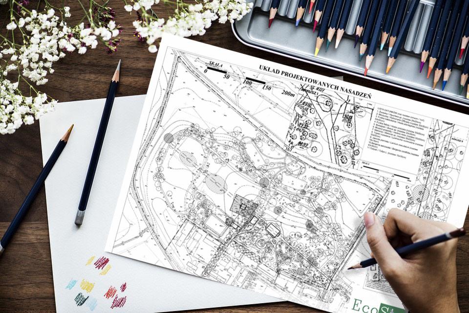 Ręcznie rysowany plan zagospodarowania terenu ogrodu z układem projektowanych nasadzeń, kolorowe kredki, ołówki i kwiaty na drewnianym biurku.