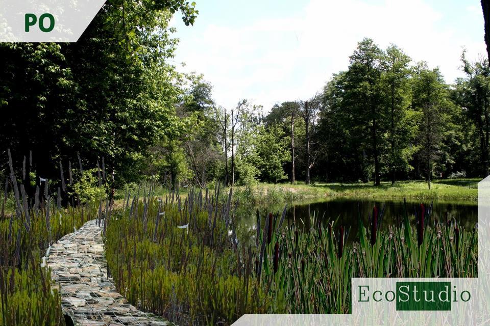 Kamienna ścieżka wijąca się przez gęstą roślinność w kierunku małego, zacienionego stawu, otoczonego wysokimi drzewami.