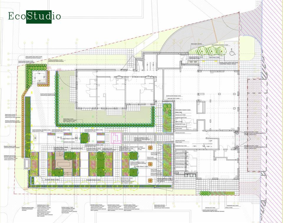 Plan zagospodarowania terenu wokół budynku z zaznaczonymi elementami zieleni, ścieżkami i strefą parkingową dla osób niepełnosprawnych, opatrzony logo EcoStudio.
