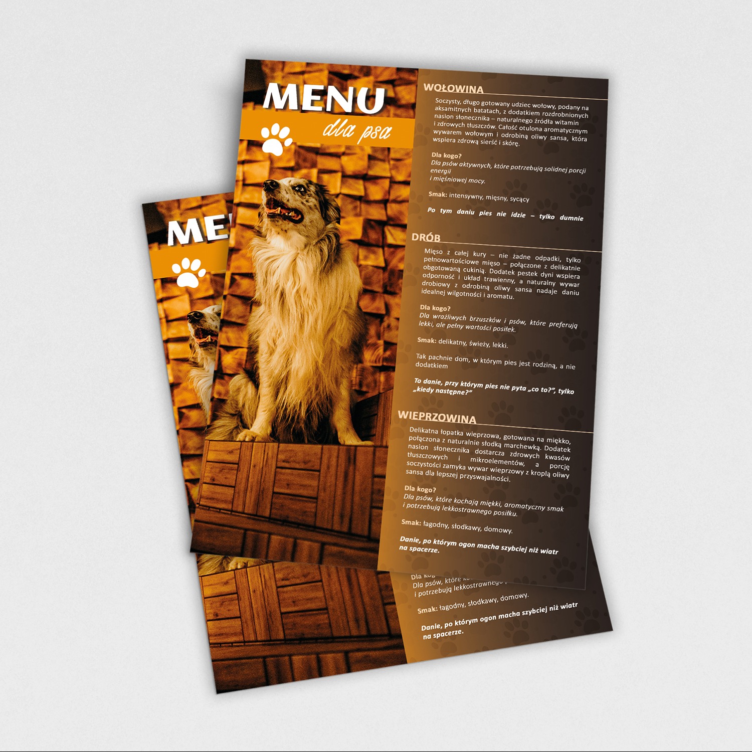 Menu dla psa: ulotka reklamowa z ilustracją psa rasy border collie i opisem dań z wołowiny, drobiu i wieprzowiny, skierowanych do psów o różnych potrzebach.