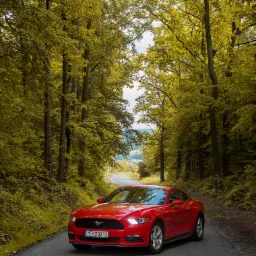 Czerwony Ford Mustang na asfaltowej drodze otoczonej drzewami w jesiennej scenerii, tablica rejestracyjna RSR 20212.