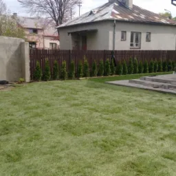 Świeżo założony trawnik przylegający do domu z wybrukowanym tarasem i schodami, w tle rząd posadzonych tuj wzdłuż drewnianego ogrodzenia.